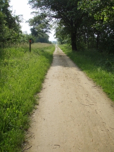 Badger Trail